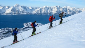 Norwegen Skitour Lyngen Alpen