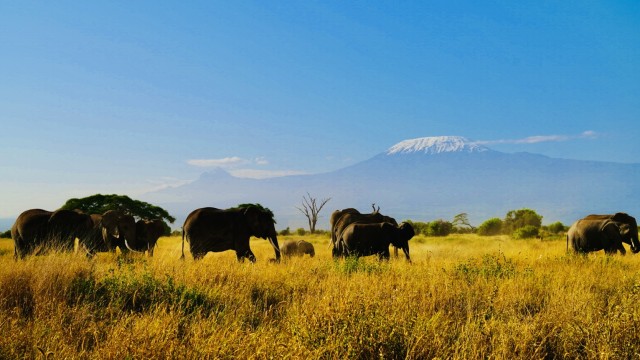 Trekking am Mount Kenya im Februar 2025