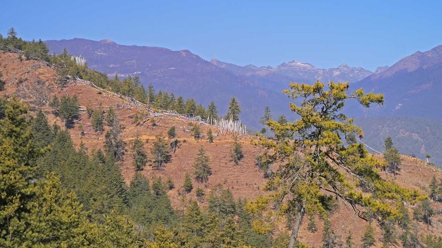 trans-bhutan-trail