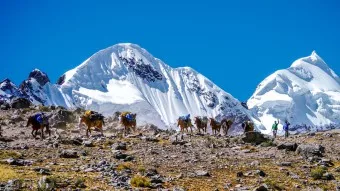 Huayhuash Trek - Auf den Spuren des Kondors