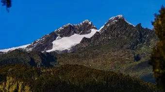 Ruwenzori mit Margherita Peak und Besuch der Berggorillas Ruwenzori mit Margherita Peak und Besuch der Berggorillas