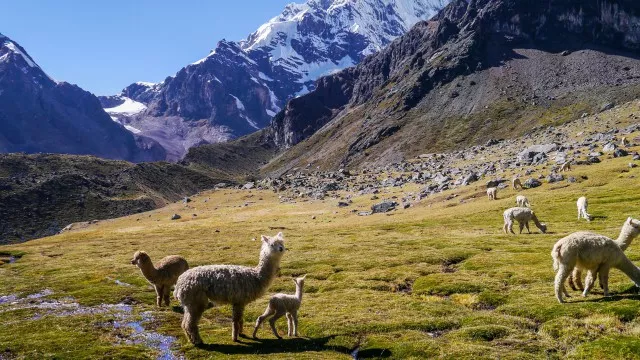 peru-huayhuash-trek