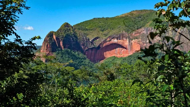 Amboro Nationalpark Bolivien