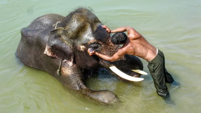 verlaengerungsreisen-nepal