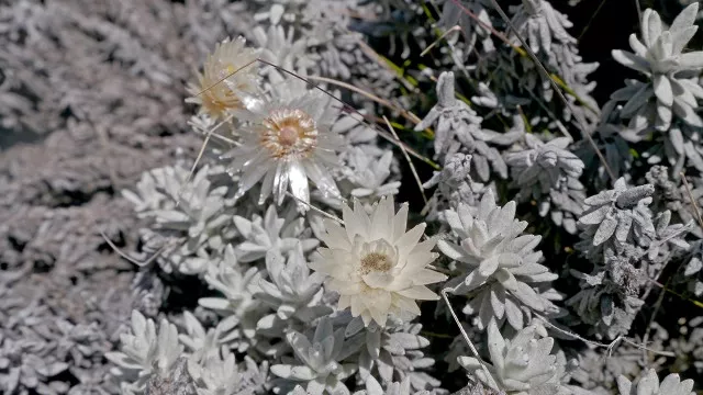 Kilimanjaro Besteigung