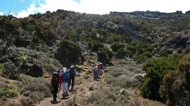 Kilimanjaro Besteigung  