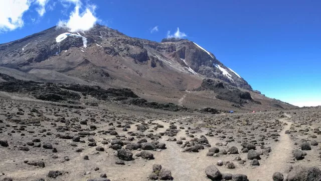 meru-kilimanjaro-safari