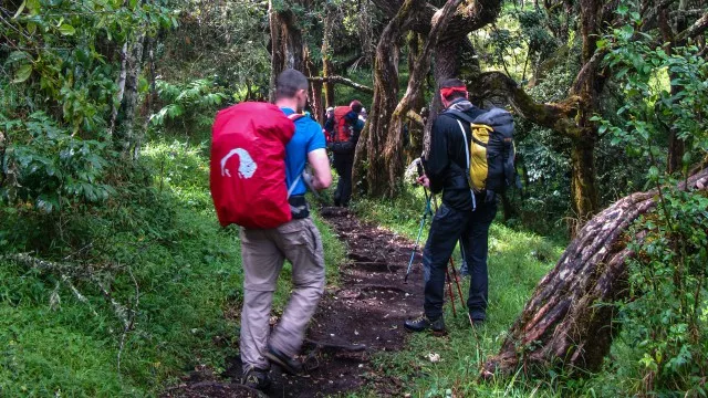 Kilimanjaro Besteigung  