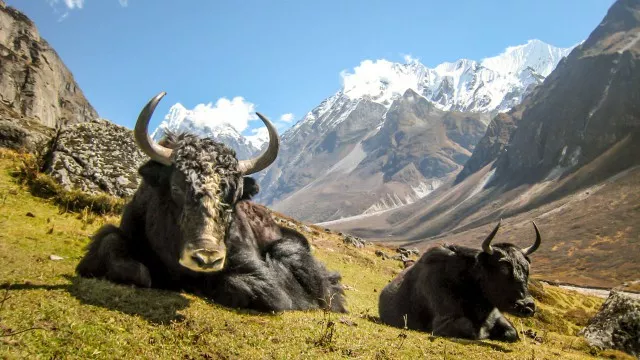 langtang-gosainkund-trek