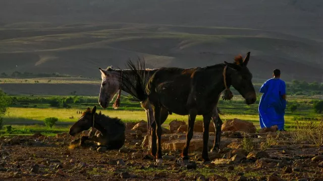 trekking Marokko atlas