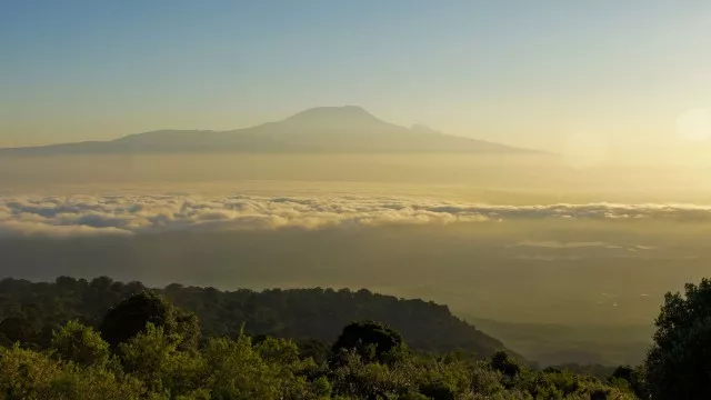 meru-kilimanjaro-safari