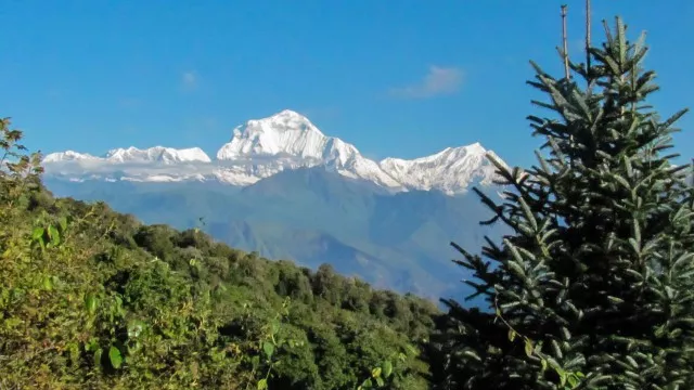 Dhaulagiri