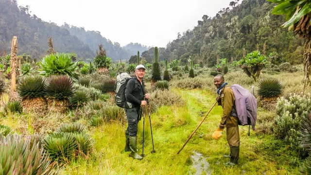 uganda-ruwenzori-berg-gorillas