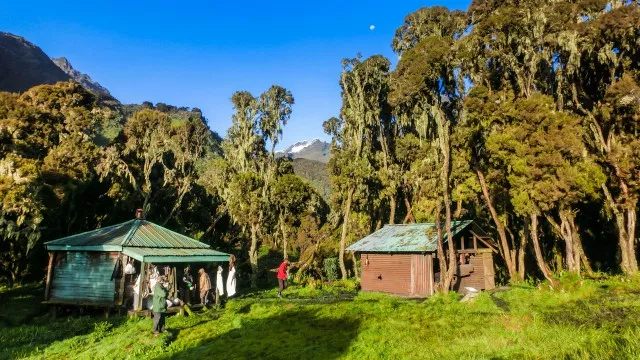 uganda-ruwenzori-berg-gorillas