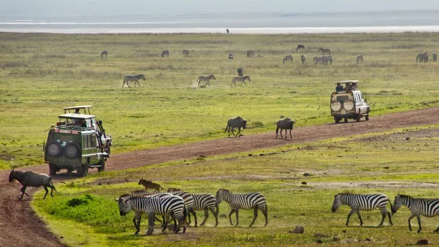 kilimanjaro-safari