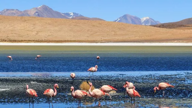 bolivien-alpin